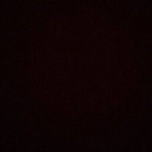 Meet your Posher, Tania